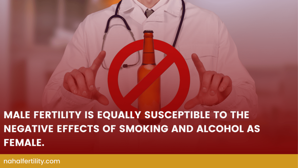 Male fertility is equally susceptible to the negative effects of smoking and alcohol