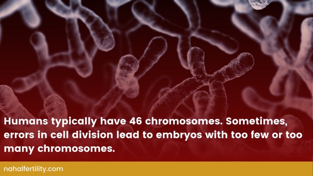 Humans typically have 46 chromosomes. Sometimes, errors in cell division lead to embryos with too few or too many chromosomes.