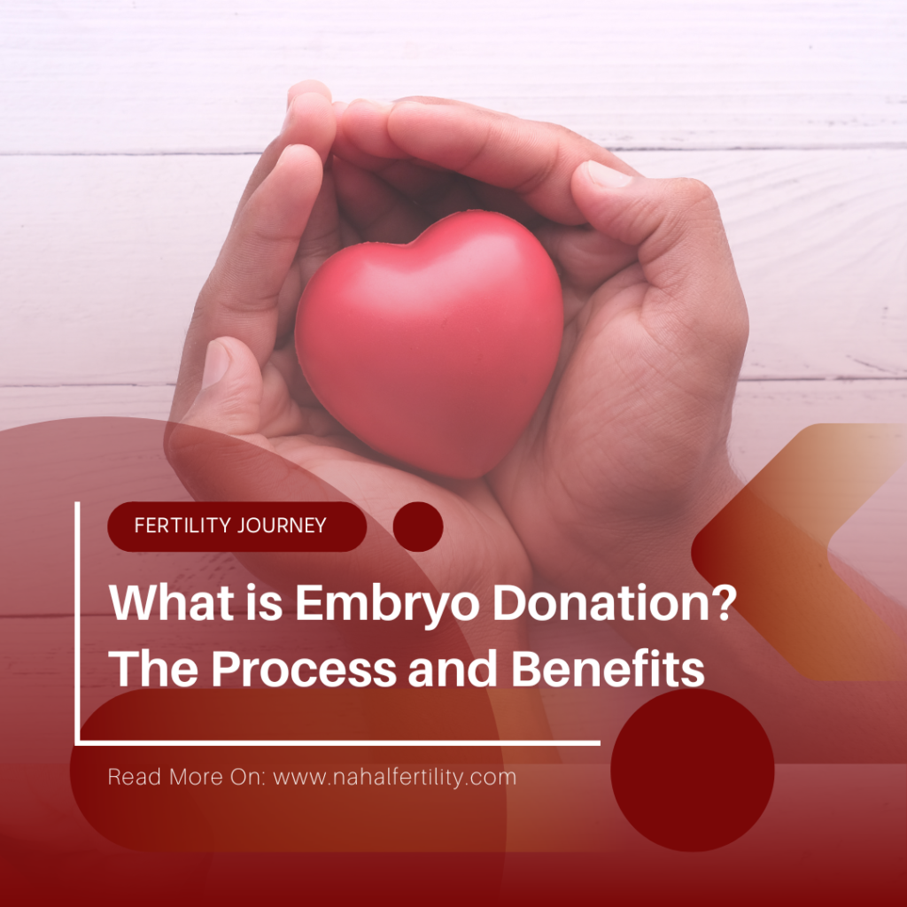 What is Embryo Donation in Toronto? Exploring the Process and Benefits