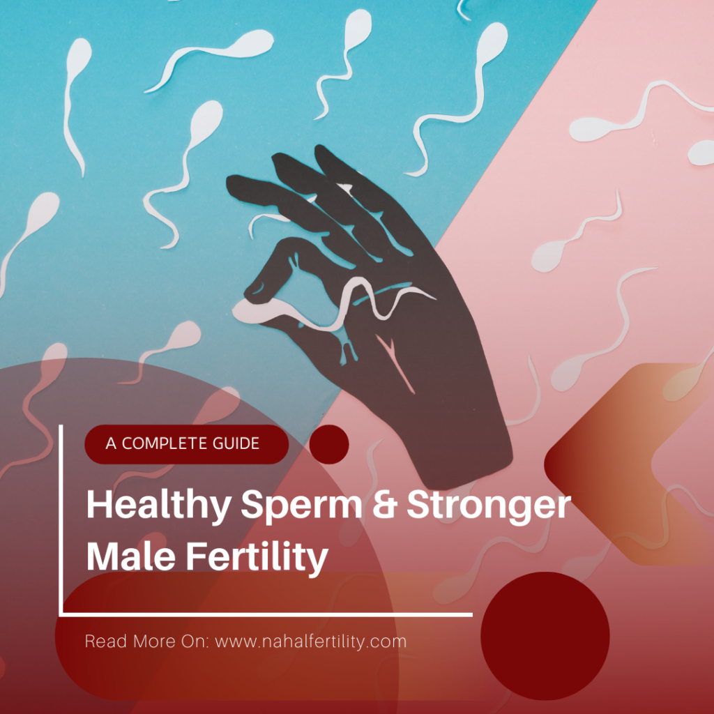 Simple Guide to Healthy Sperm & Stronger Male Fertility