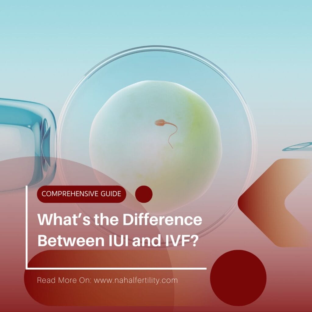 Compare IUI & IVF by cost, success rate, age, & fertility condition. See when each treatment works best regarding real research data. Discover the best option now!