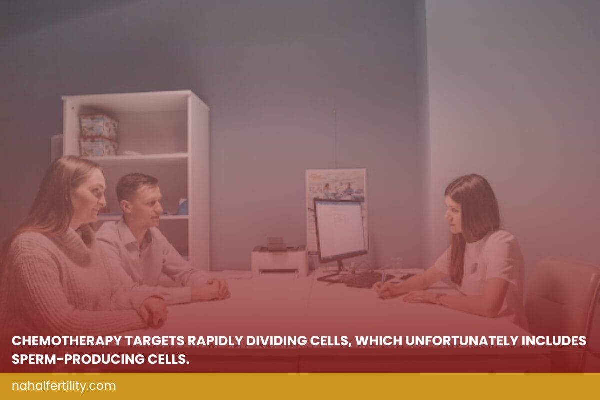 Impact of Cancer Treatments on Male Fertility