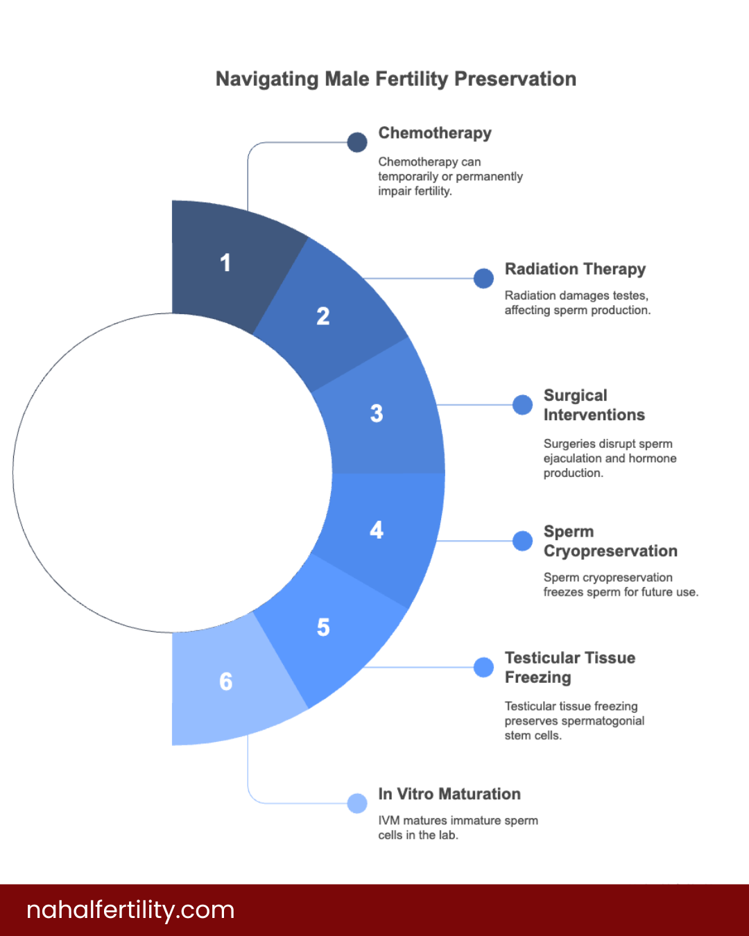 Male Fertility Preservation (1)
